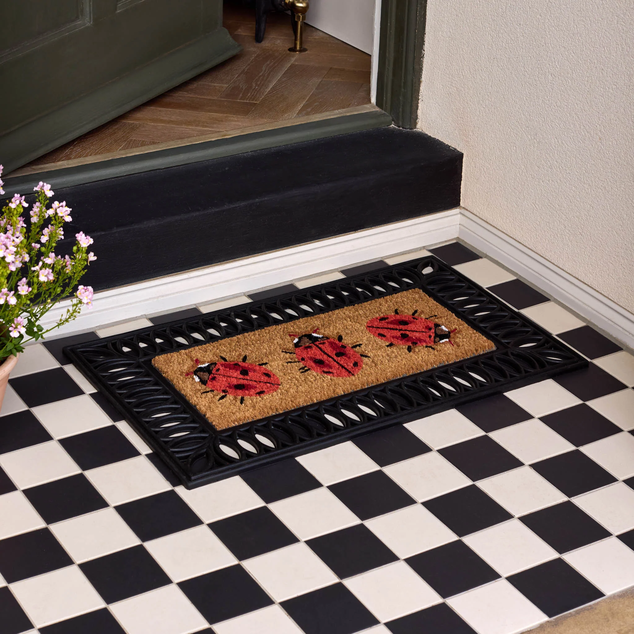 Coir Insert LadyBird Doormat - Image 2
