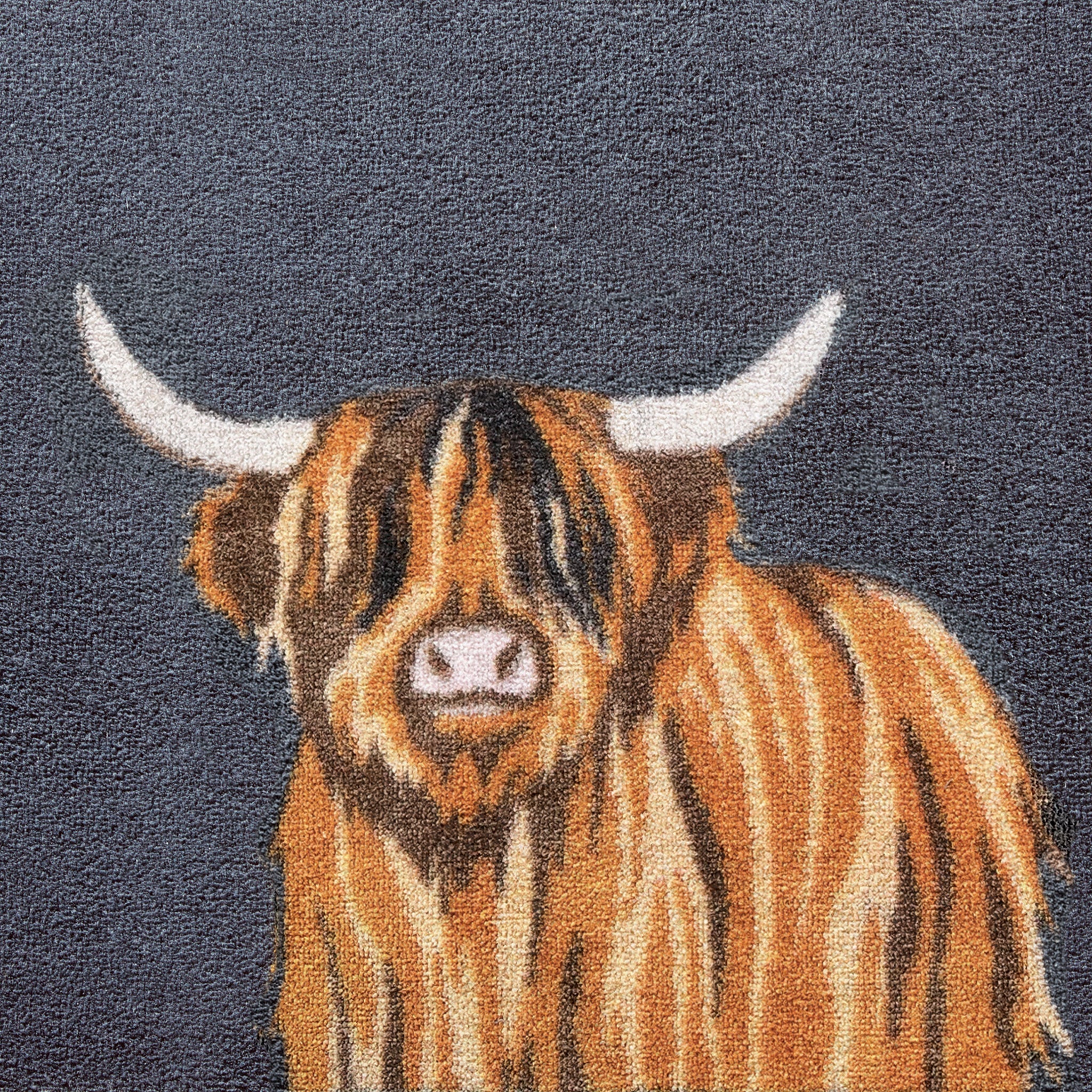 Highland Cow 1 Washable Doormat - Image 3