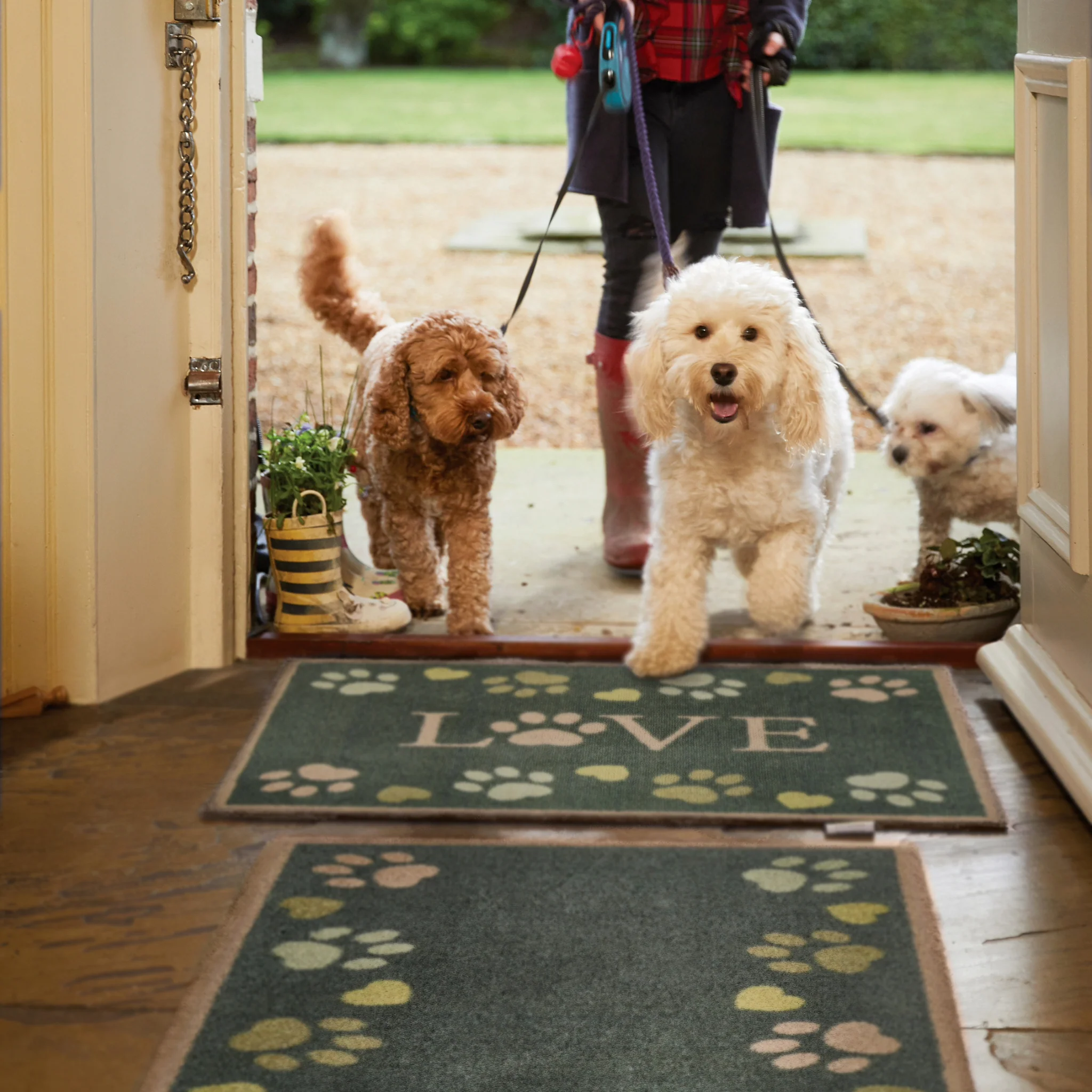 Love Paws Green Washable Doormat - Image 2