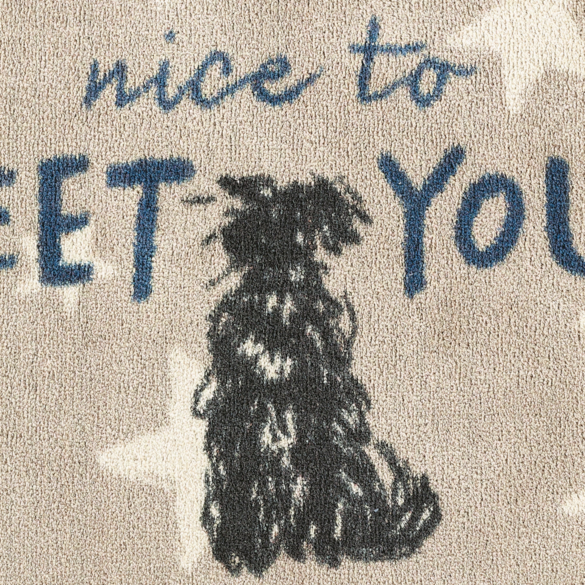 Meet You Washable Doormat - Image 4