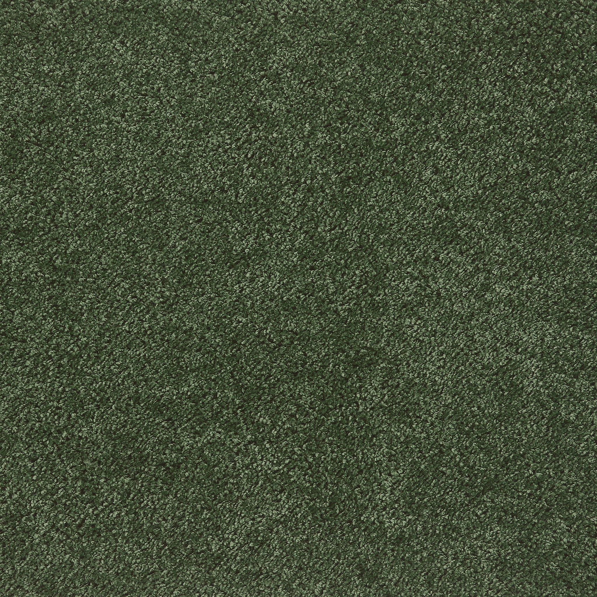 My Rug - Forest Green Rug - Image 8