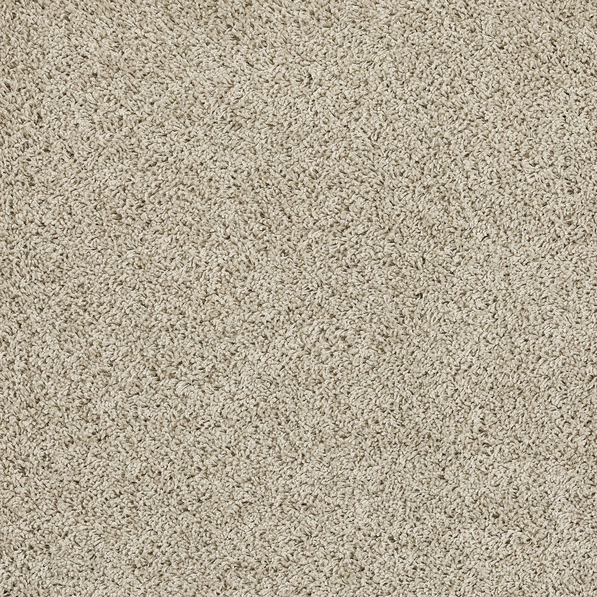 My Rug - Stone Beige Rug - Image 6