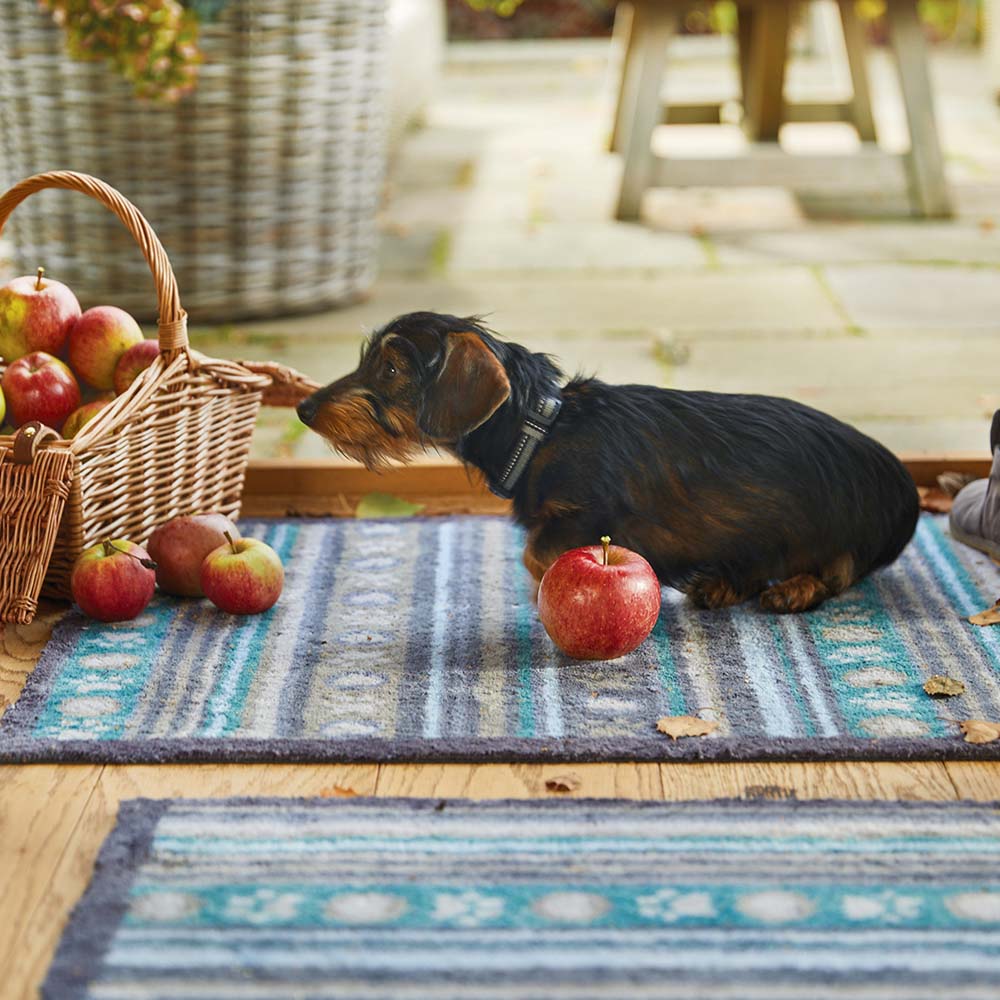Pet 80 Paw Stripes Washable Doormat - Image 2