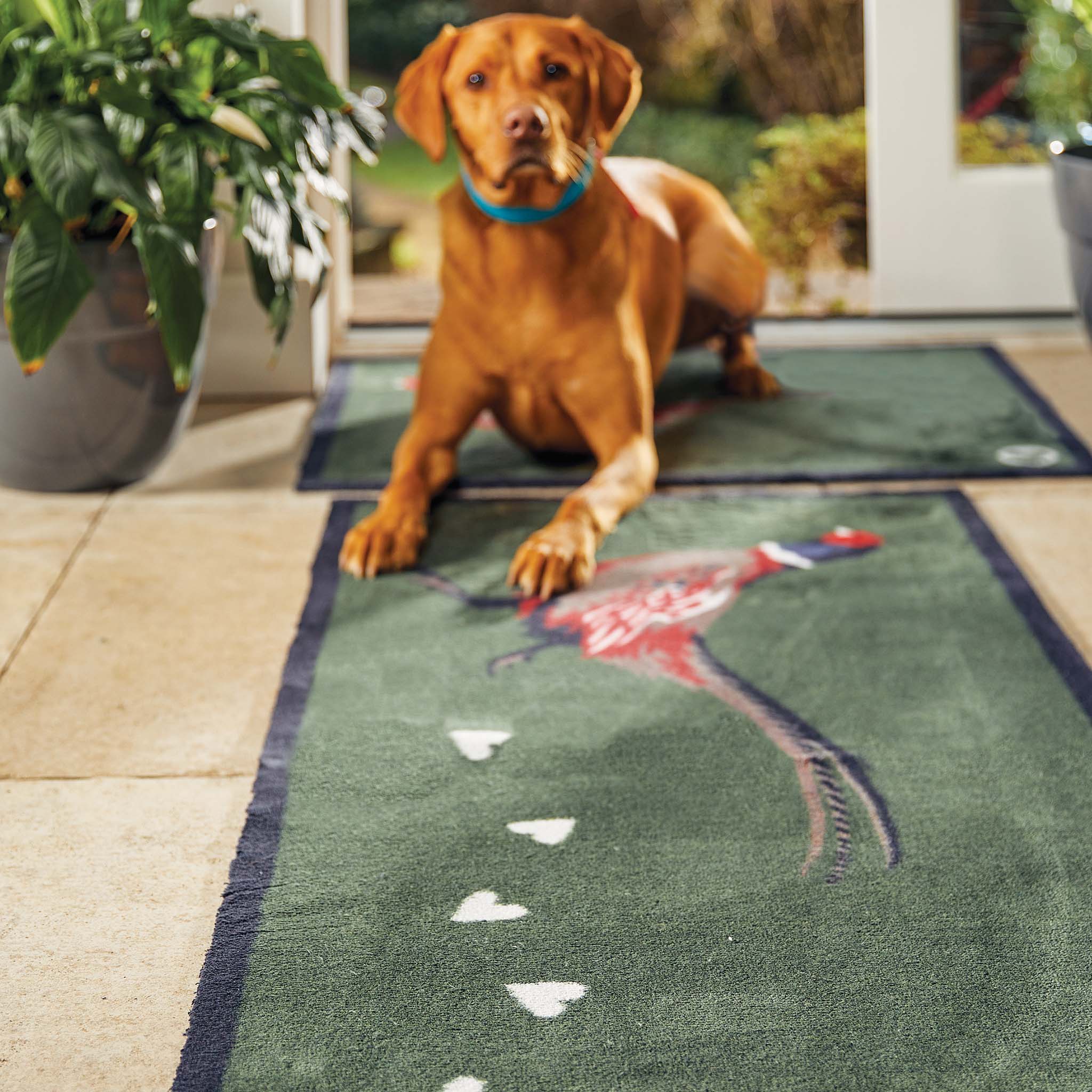 Pheasant Green 2 Washable Runner - Image 4