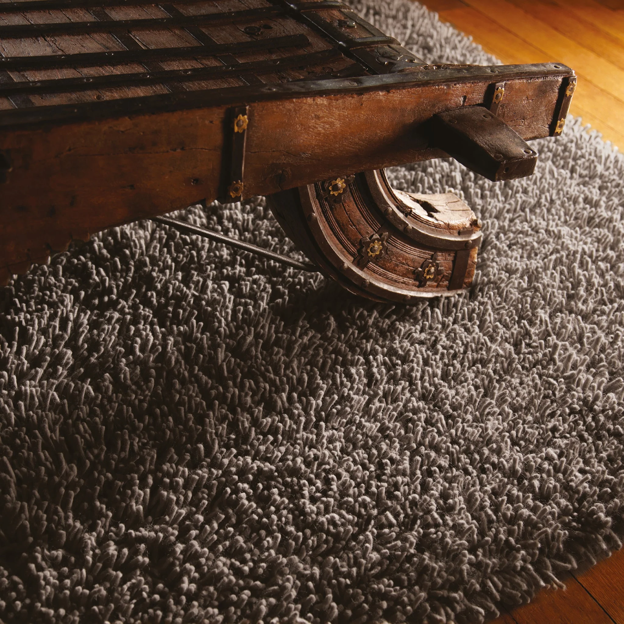 Imperial Rug Fossil - Image 3