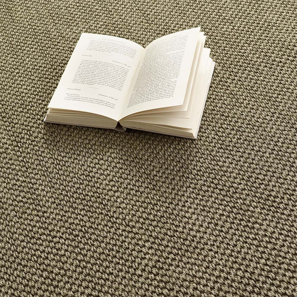 Sisal Green with Sage Green Border Rug - Image 7
