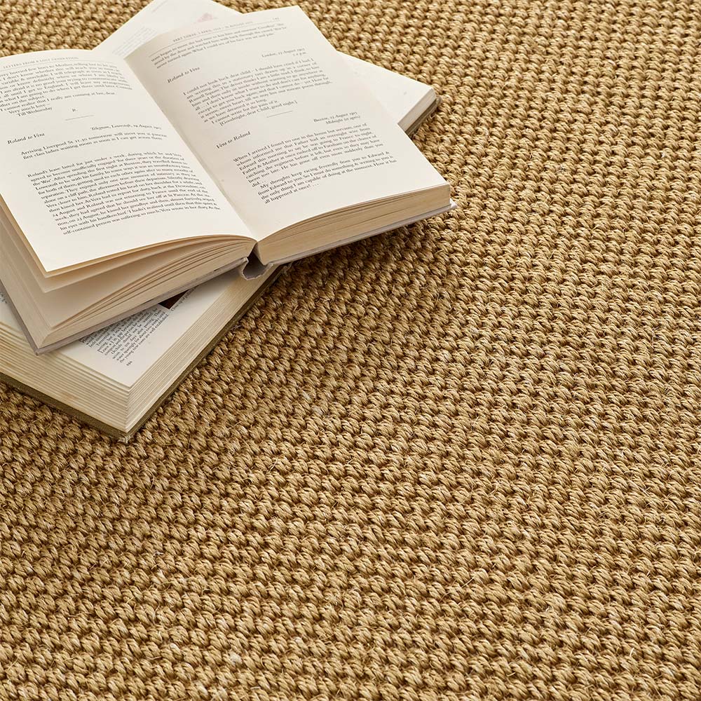 Sisal Natural with Dark Brown Border Rug - Image 6